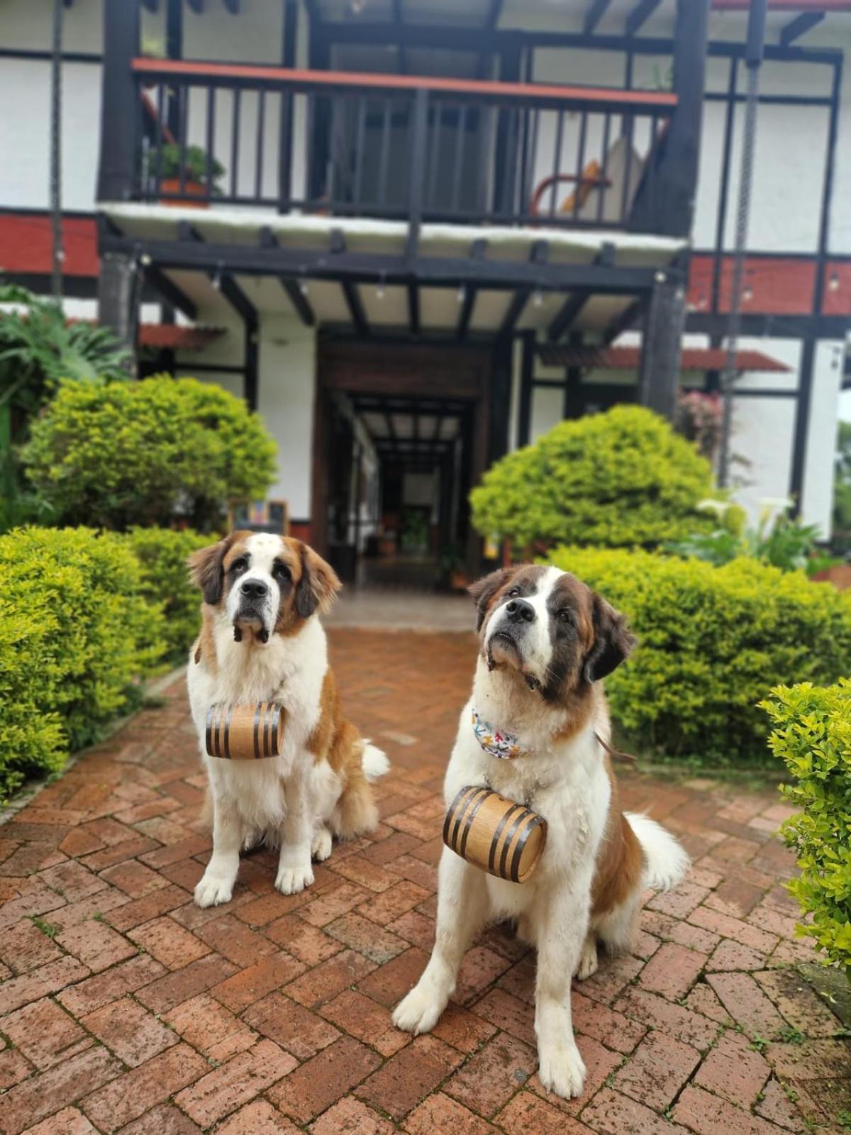 Hotel Coffee Tree Boutique *